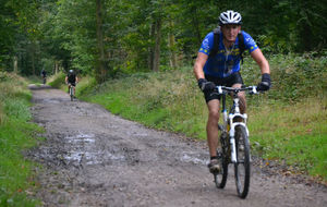 541868ceb7960_DSC0162.JPG