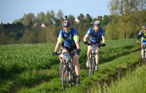 5559dcd05b188_DSC0039.JPG