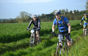 5559dcd354bb7_DSC0041.JPG