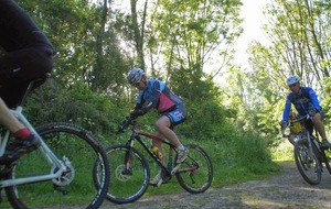556b46e1aaa9e_DSC07964.jpg