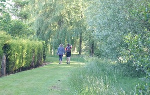 557f04e59feac_DSC04409.JPG