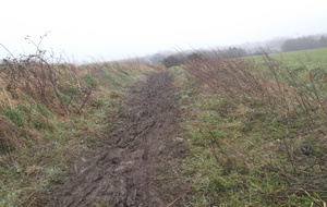 Légèrement gras. lol