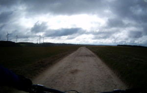 56f4534cce005_FILE0015.JPG