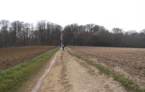 56fc0942a8a13_DSCF6004.JPG
