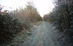 584aa73ae6f65_FILE0014.JPG