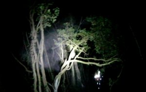 58580e6a7ae83_Instantan4.png