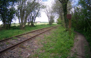 58f7bdc3a4bb4_FILE0020.JPG