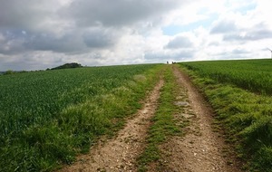 Reco du 20 Mai