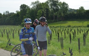 592ffc5a22e52_DSC0361.JPG