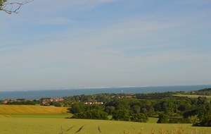 5942e5863a687_DSC0003.JPG