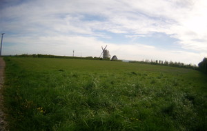 5af177cbe3c8d_FILE0193.JPG