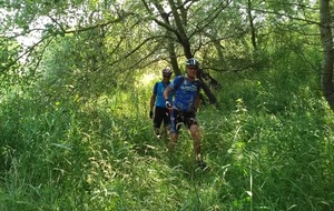 5b431fb93ebc8_IMG20180706140434.jpg