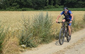 5b4c40980fc6f_DSC0434.jpg