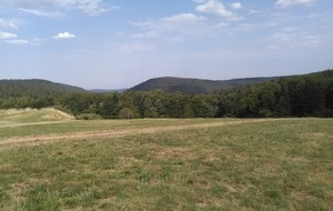 5d2e219d1c15b_IMG20190706172419.jpg