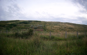 5d3332f7a8e67_FILE0147.JPG