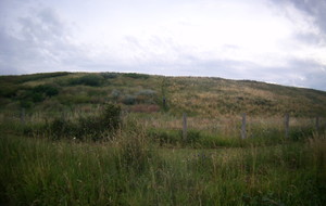 5d33331200323_FILE0150.JPG