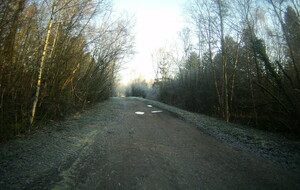 5ffd3c438a870_FILE0199.JPG