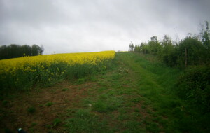 609d7f8d6b161_FILE0202.JPG