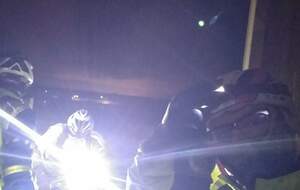 61eff0314dbd4_received302793615228321.jpeg