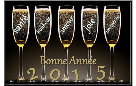 Voeux 2015